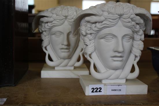 Pair and various reconstituted classical heads